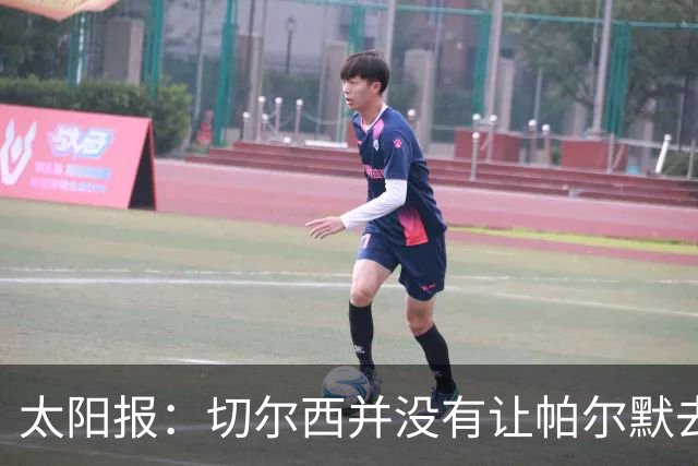 太阳报：切尔西并没有让帕尔默去游说罗杰斯，但两人感情很好